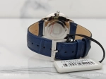 Montre Cerruti Homme CR003H