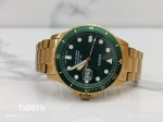 Montre Fossil Homme FS001H