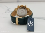 Montre Gc Homme GC025H