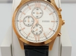 Montre Guess Homme GS002H