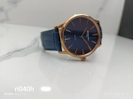 Montre Rodania Homme RO040H