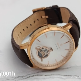 Montre Gant Homme GT001H