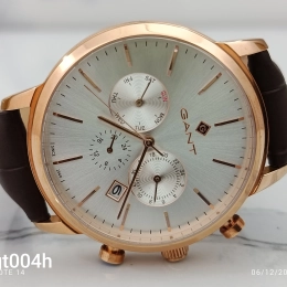 Montre Gant Homme GT004H